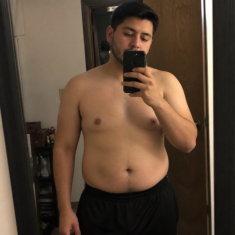 AI forecast, day 0 · 27% body fat