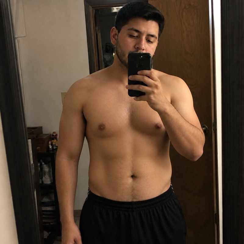 AI forecast, day 60 · ~19% body fat