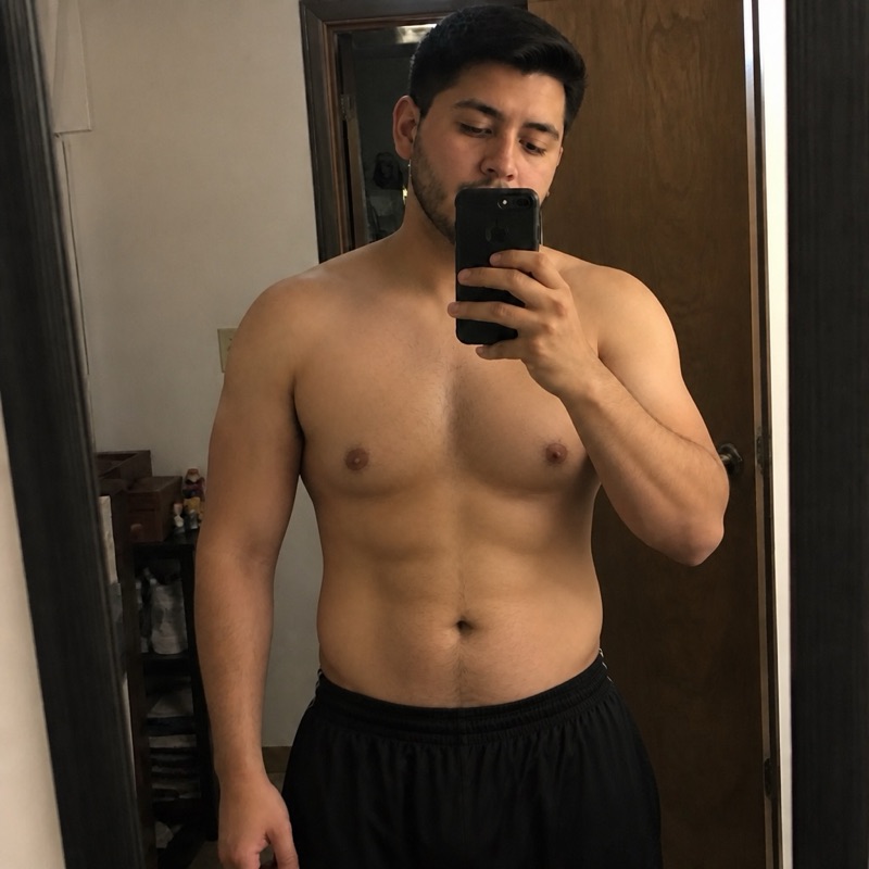 AI forecast, day 90 · ~18% body fat