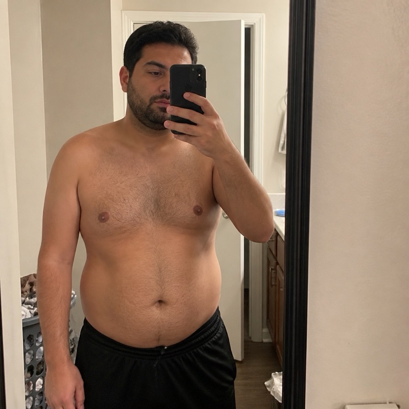 AI forecast, day 0 · 28% body fat